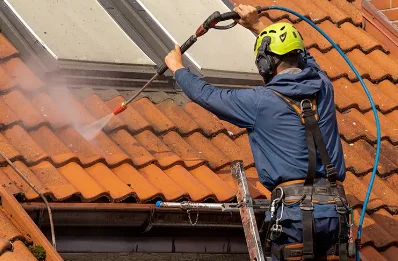 Démoussage et hydrofuge de toiture à Bouzon-Gellenave